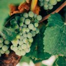 미래의아침 이미지