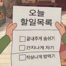 가양종로약국 | 1月 - 2月