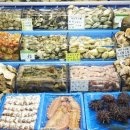 양지수산 - 제주시 | 양지수산