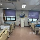 제주 한라병원 복강경 쓸개 돌 담석증 수술 입원 후기 비용 3