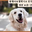 에스더블유티 네이버블로그