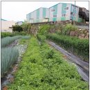 재학농장 이미지