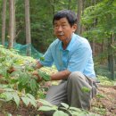 심마니산약초농원 이미지