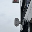 매직 펫 살롱 | 수유역 미용실 리미살롱 본점, 매직시술과 커트로 완성한 찐후기