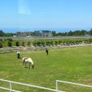 신의목장 이미지