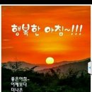 편백효소방