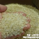 맘마미아 쌀눈쌀로 건강한 밥상을 차리자