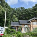 여우골옻닭 이미지