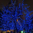 벌막공원 이미지