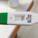 행복한한의원 | 경주 난임 한의원 알아본 후기 (+임신 8주차 도움된 방법까지!)