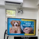 랄라펫살롱 이미지