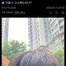 설헤어 이미지