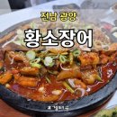 황소장어 이미지