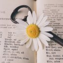 현대리치모아 이미지