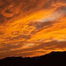 쉐이크쉑천안점 이미지