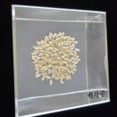 국립대구박물관 북문 야외 | 수원 아이와 가볼만한 곳 국립농업박물관 무료로 박물관부터 식물원까지 즐기기