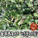 늘푸른농산 - 안산시 상록구 | 늘푸른농산