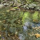 와운골가든 이미지