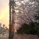 신제주명동보쌈 이미지