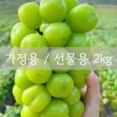 세동농장 네이버블로그