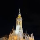 야경코스 이미지