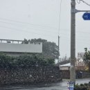 11545-01-52-41 | 국내여행 :: 직장인의 갬성 워케이션(feat. 제주) DAY 01~02