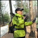 휴일도보 후기, 2월 22일(토요일), 경부선 언저리길 - 말죽거리공원 -양재천 - 과천역 걷기, 첫번째 이미지