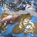 이화상회 이미지