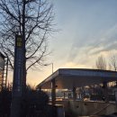 잠실 제2수영장 | 잠실 제1수영장 평일 오후 자유수영 후기 서울 50m 수영장 레트로의 매력