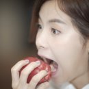 몽땅과일