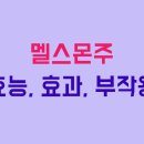 (주)한국멜스몬