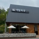 매일목장 | [원주카페] 무실동 브런치 카페 매일목장