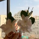 겨울예식 은방울꽃부케 제이스플로라 본식부케 후기 (엘리에나호텔 그랜드볼룸홀)
