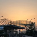 강서농산물도매시장 | 강서수산시장 푸짐한 모듬회포장 강화수산 추천후기