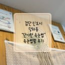 단아한속눈썹
