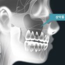 서울하이안치과방배 이미지