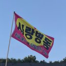 마이데이