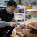 에코푸루스 이미지