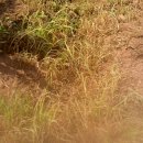 솔내음농장 이미지