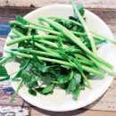 진짜배기119 이미지