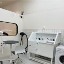 퍼피포피 이미지