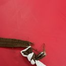 이천 MTA  태권도장 이미지