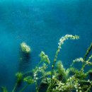 (주)그린텍 이미지