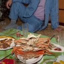 산성버섯지기 이미지