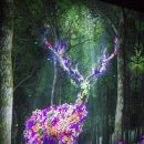 동화 속 수학여행 이미지