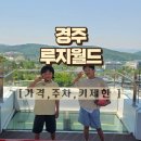 월드커머스 | [경주 가볼만한곳] 보문단지 경주 루지월드 내돈내산 후기: 가격, 주차, 키 제한 총정리!