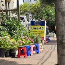자연과사람들밀면제주시점 | 제주 조천 통일가든, 검은콩국수 오픈런 성공! 도민도 줄 서는 맛집 후기