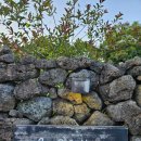 라빌레뜨 | [제주도 키즈펜션 라빌레뜨] 두돌 아기와 함께 가기 좋은 제주 숙소(룸2, Lv35)