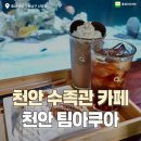 여항-1 | [천안수족관 카페] 천안 팀아쿠아 방문 후기