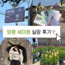 세미원 | 양평 가볼만한곳 세미원 입장료 자세한 후기